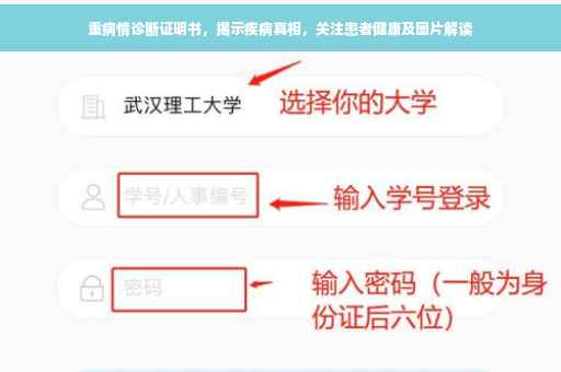 重病情诊断证明书，揭示疾病真相，关注患者健康及图片解读