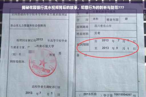 揭秘花园银行流水视频背后的故事，犯罪行为的剖析与防范???