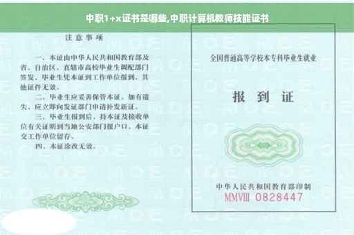 中职1+x证书是哪些,中职计算机教师技能证书