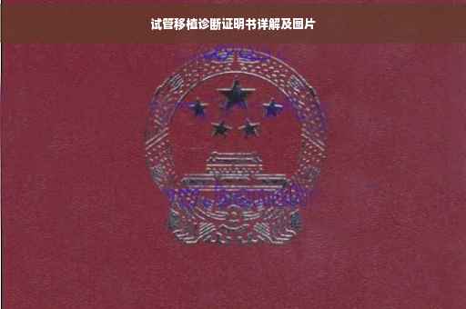 试管移植诊断证明书详解及图片