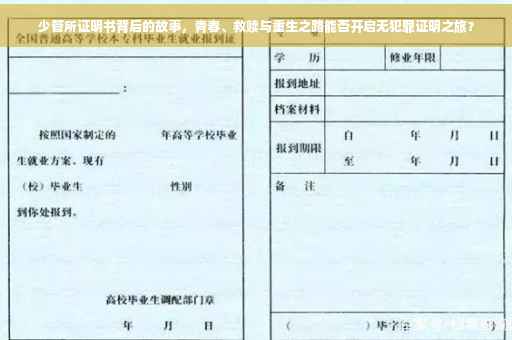 少管所证明书背后的故事，青春、救赎与重生之路能否开启无犯罪证明之旅？