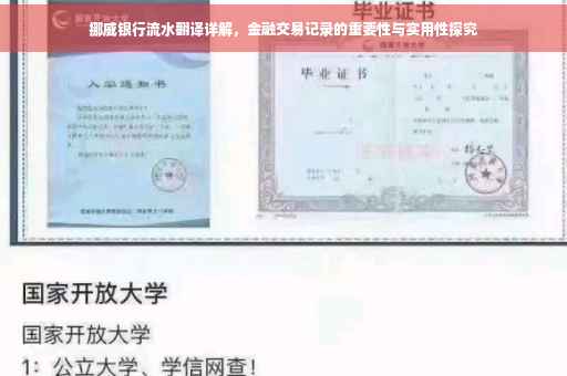 挪威银行流水翻译详解，金融交易记录的重要性与实用性探究