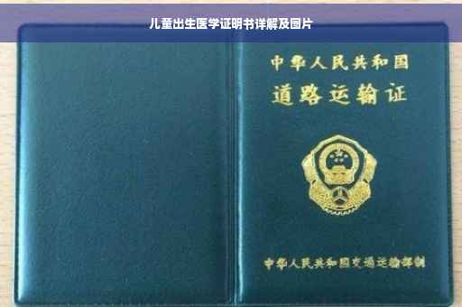 儿童出生医学证明书详解及图片
