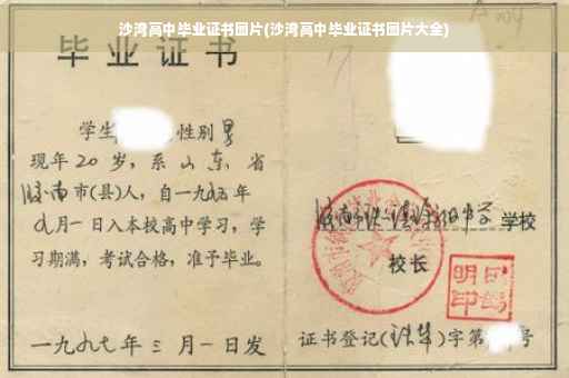 沙湾高中毕业证书图片(沙湾高中毕业证书图片大全) 沙湾高中毕业证书图片(沙湾高中毕业证书图片大全)