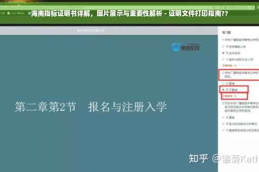 海南指标证明书详解，图片展示与重要性解析 - 证明文件打印指南??