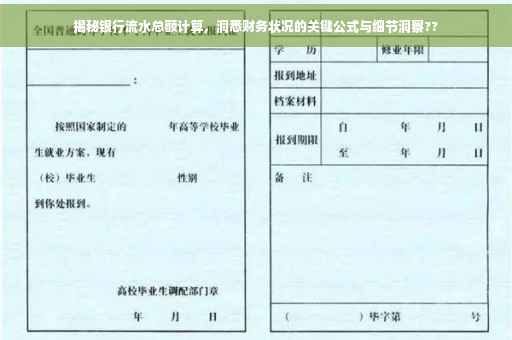 揭秘银行流水总额计算，洞悉财务状况的关键公式与细节洞察??