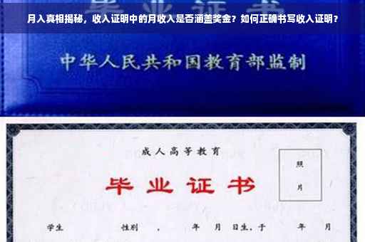 月入真相揭秘，收入证明中的月收入是否涵盖奖金？如何正确书写收入证明？
