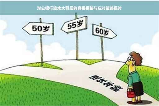 对公银行流水大背后的真相揭秘与应对策略探讨