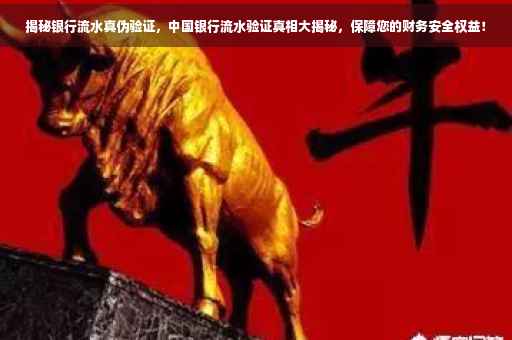 揭秘银行流水真伪验证，中国银行流水验证真相大揭秘，保障您的财务安全权益！