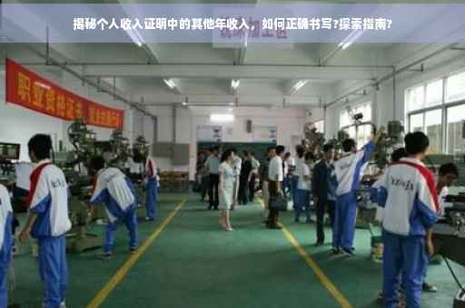 揭秘个人收入证明中的其他年收入，如何正确书写?探索指南?