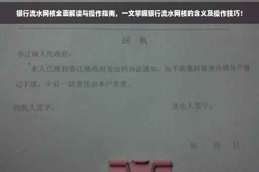 银行流水网核全面解读与操作指南，一文掌握银行流水网核的含义及操作技巧！