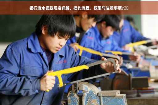 银行流水调取规定详解，操作流程、权限与注意事项?⚡️