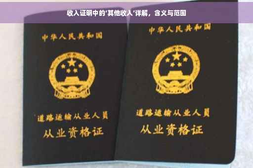 收入证明中的‘其他收入’详解，含义与范围