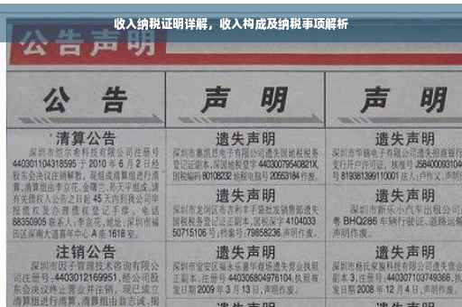 收入纳税证明详解，收入构成及纳税事项解析