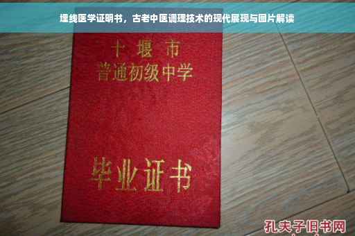 埋线医学证明书，古老中医调理技术的现代展现与图片解读