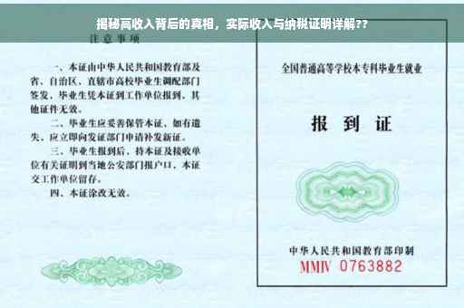 揭秘高收入背后的真相，实际收入与纳税证明详解??