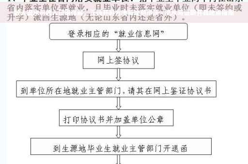 收入流水与收入证明详解，正确开具方法与注意事项 - 流水与证明开具地点指南