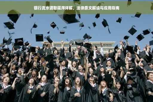 银行流水调取程序详解，法律条文解读与应用指南