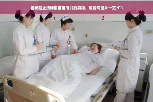 揭秘禁止接种疫苗证明书的真相，解析与图片一览?⚡️