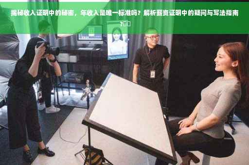 揭秘收入证明中的秘密，年收入是唯一标准吗？解析薪资证明中的疑问与写法指南 ?⚡️