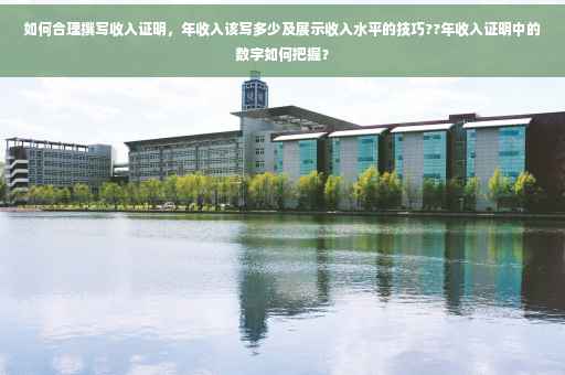 如何合理撰写收入证明，年收入该写多少及展示收入水平的技巧??年收入证明中的数字如何把握？