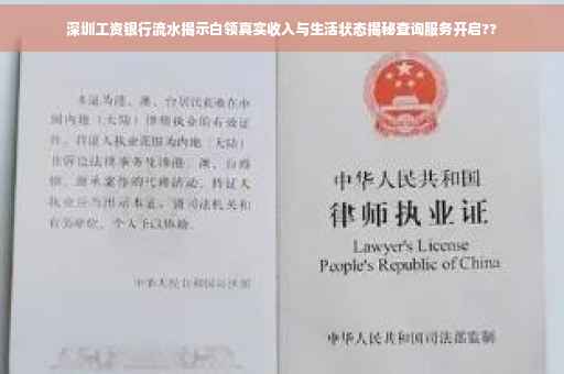 深圳工资银行流水揭示白领真实收入与生活状态揭秘查询服务开启??