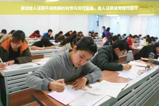 解读收入证明不填数额的利弊与应对策略，收入证明填写技巧探讨