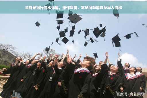 金蝶录银行流水详解，操作指南、常见问题解答及导入流程