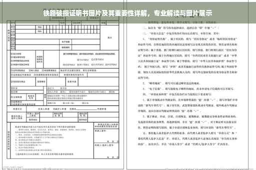 铁路破损证明书图片及其重要性详解，专业解读与图片展示