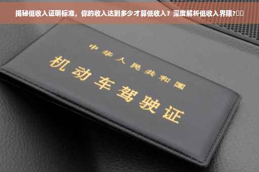 揭秘低收入证明标准，你的收入达到多少才算低收入？深度解析低收入界限?⚡️