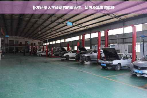 补发延缓入学证明书的重要性、写法及其影响解析