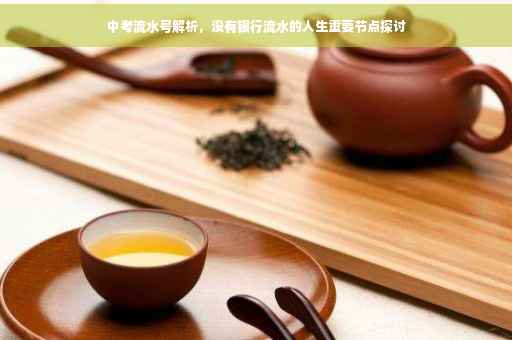中考流水号解析，没有银行流水的人生重要节点探讨