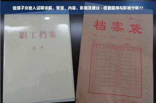 低保子女收入证明详解，背景、内容、影响及建议 - 核查程序与影响分析??