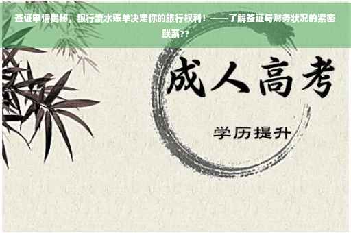 签证申请揭秘，银行流水账单决定你的旅行权利！——了解签证与财务状况的紧密联系??