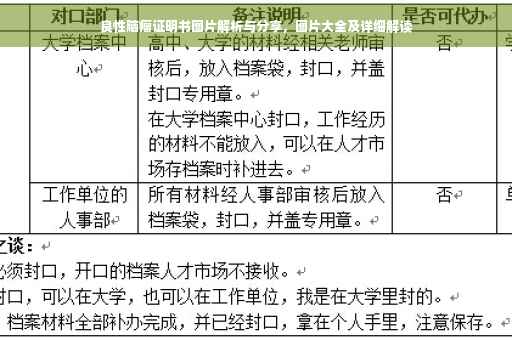 良性脑瘤证明书图片解析与分享，图片大全及详细解读