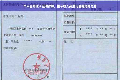 个人公司收入证明详解，揭示收入来源与稳健财务之路