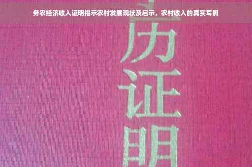 务农经济收入证明揭示农村发展现状及启示，农村收入的真实写照