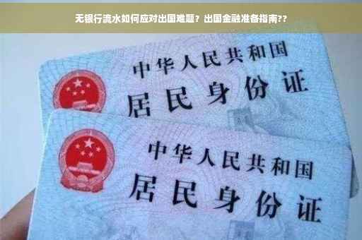 无银行流水如何应对出国难题？出国金融准备指南??