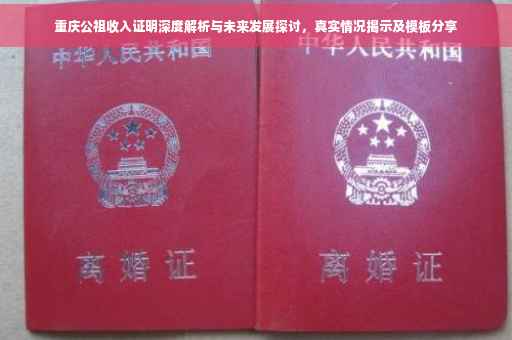 重庆公祖收入证明深度解析与未来发展探讨，真实情况揭示及模板分享