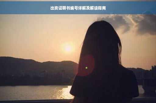 出资证明书编号详解及解读指南