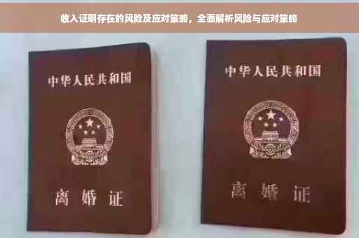 收入证明存在的风险及应对策略，全面解析风险与应对策略