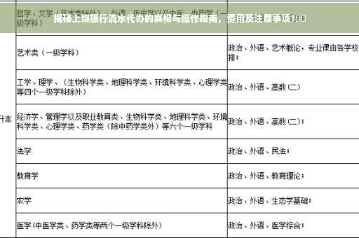 揭秘上饶银行流水代办的真相与操作指南，费用及注意事项?⚡️