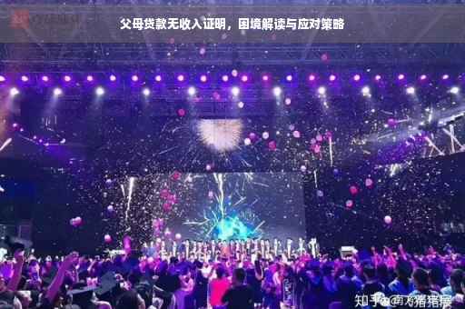 父母贷款无收入证明，困境解读与应对策略