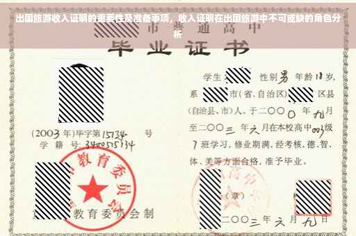 出国旅游收入证明的重要性及准备事项，收入证明在出国旅游中不可或缺的角色分析
