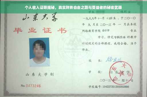 个人收入证明揭秘，真实财务自由之路与受益者的秘密武器