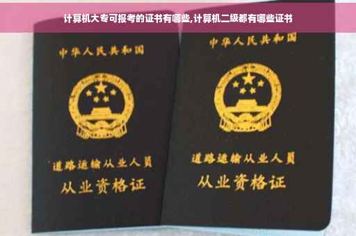计算机大专可报考的证书有哪些,计算机二级都有哪些证书