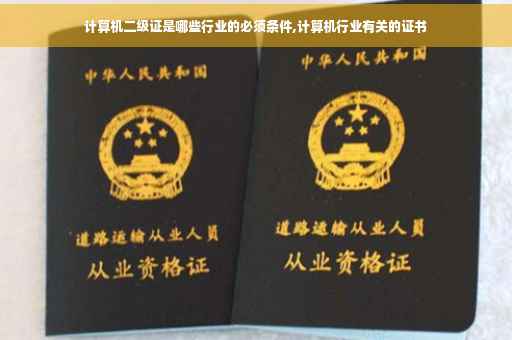 计算机二级证是哪些行业的必须条件,计算机行业有关的证书