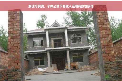 解读与实践，个体公章下的收入证明有效性探讨