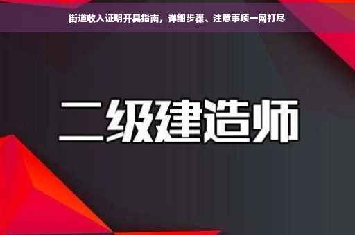 街道收入证明开具指南，详细步骤、注意事项一网打尽