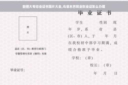 新疆大专毕业证书图片大全,乌鲁木齐就业创业证怎么办理